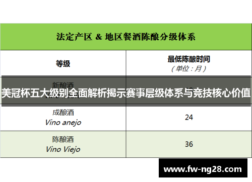 美冠杯五大级别全面解析揭示赛事层级体系与竞技核心价值