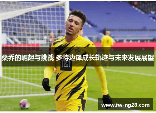 桑乔的崛起与挑战 多特边锋成长轨迹与未来发展展望